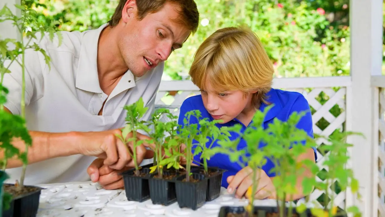 20 Easy Seeds To Grow In A Cup Seeds to Sow & Grow with Kids Slick