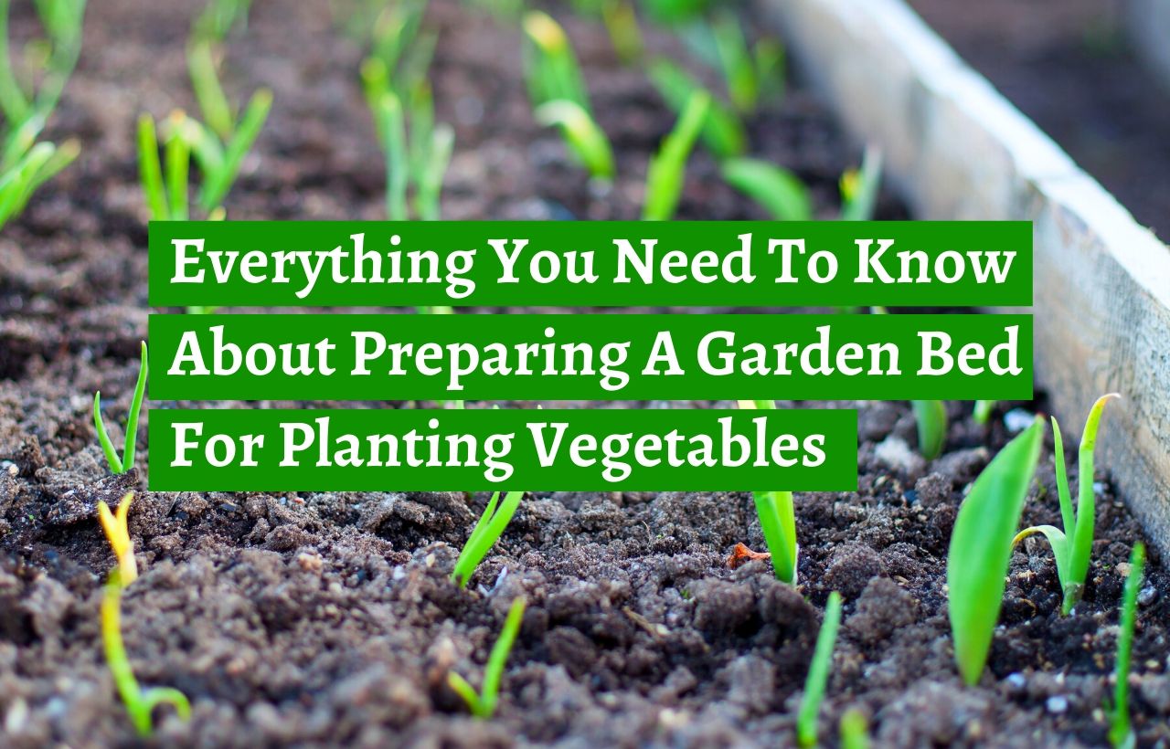 Everything You Need To Know About Preparing A Garden Bed For Planting