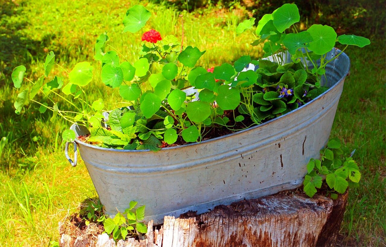 10 Best DIY & Cheap Container Vegetable Gardening Ideas Anyone Can Use Slick Garden