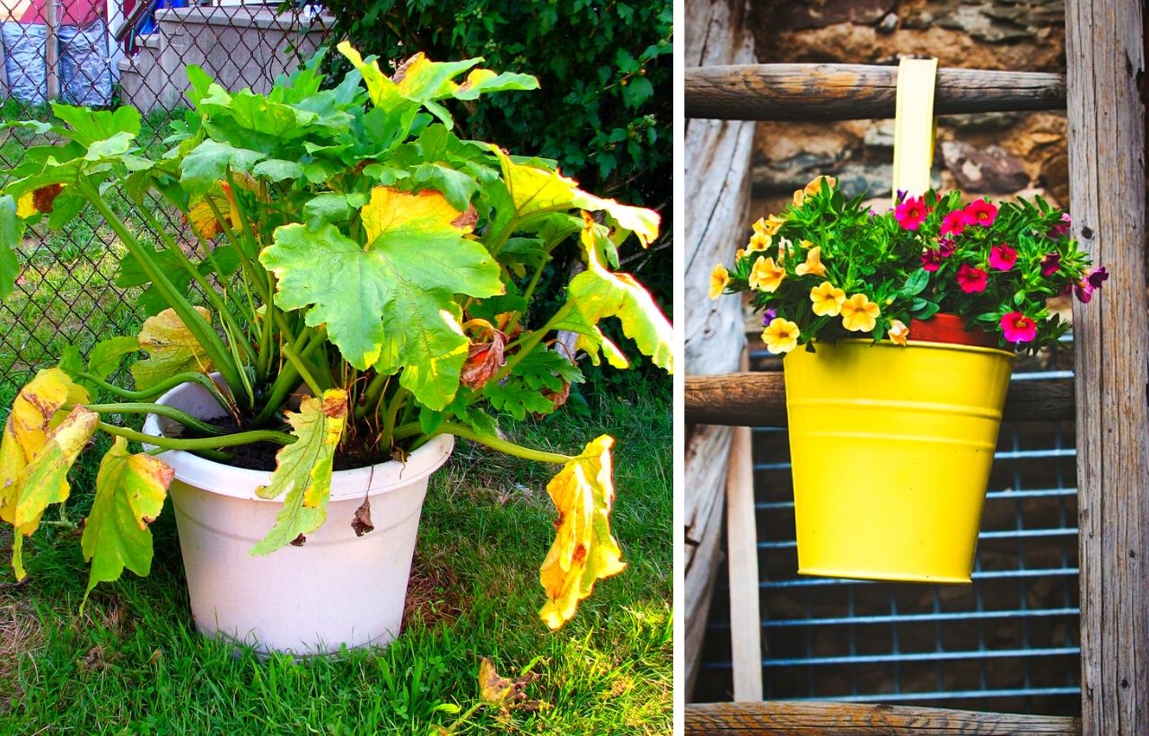 10 Best DIY & Cheap Container Vegetable Gardening Ideas Anyone Can Use Slick Garden