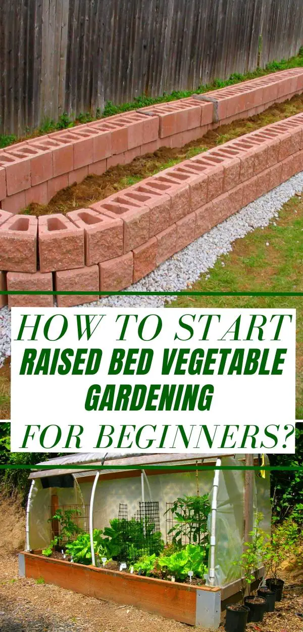 How To Start Raised Bed Vegetable Gardening For Beginners? Slick Garden