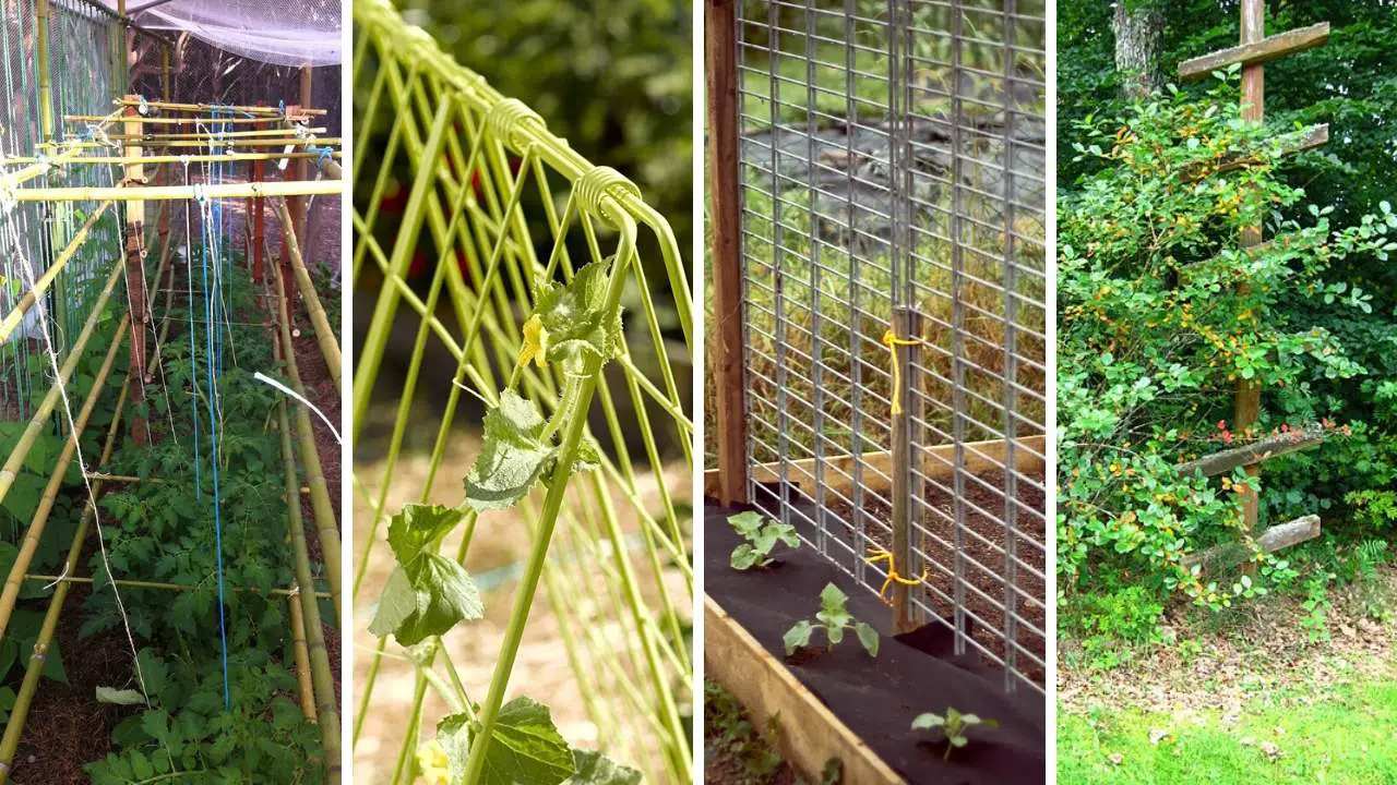12 BEST Trellis For Cucumber In Raised Beds Slick Garden