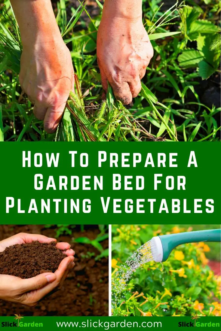 Everything You Need To Know About Preparing A Garden Bed For Planting