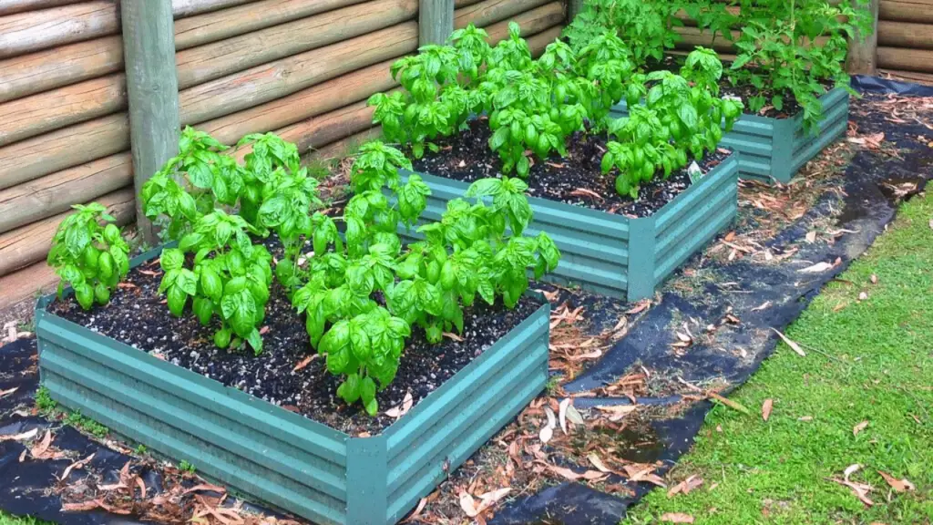 Soil For Raised Bed Raised Bed Gardening Soil Mix Recipe Slick