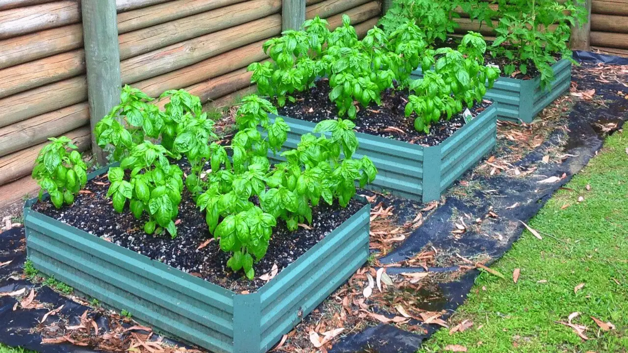 Soil For Raised Bed: Raised Bed Gardening Soil Mix Recipe ...
