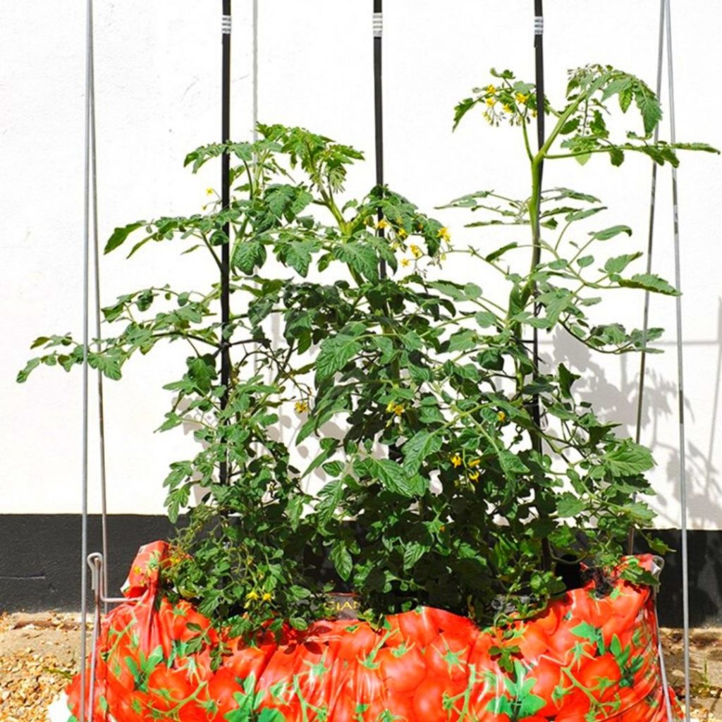 10 Best Diy Cheap Container Vegetable Gardening Ideas Anyone Can