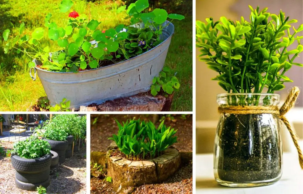 10 Best Diy Cheap Container Vegetable Gardening Ideas Anyone Can