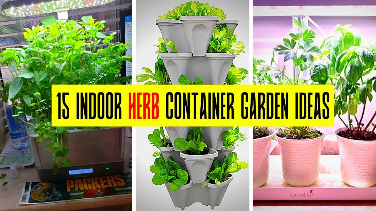15 Indoor Herb Container Garden Ideas Slick Garden