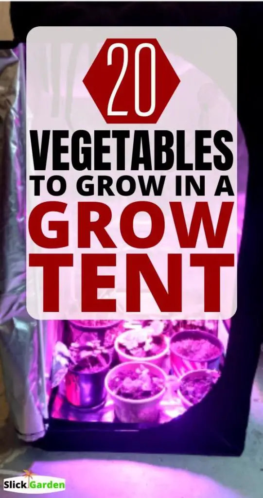 20 Easy Vegetables To Grow In Grow Tent Slick Garden