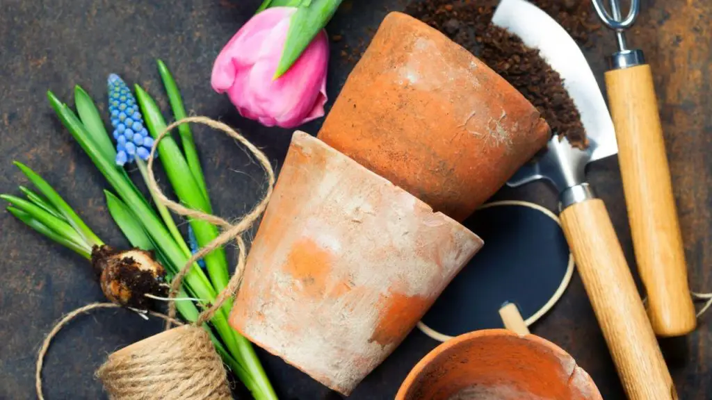 Why You Should Use White Vinegar In Your Garden Slick Garden